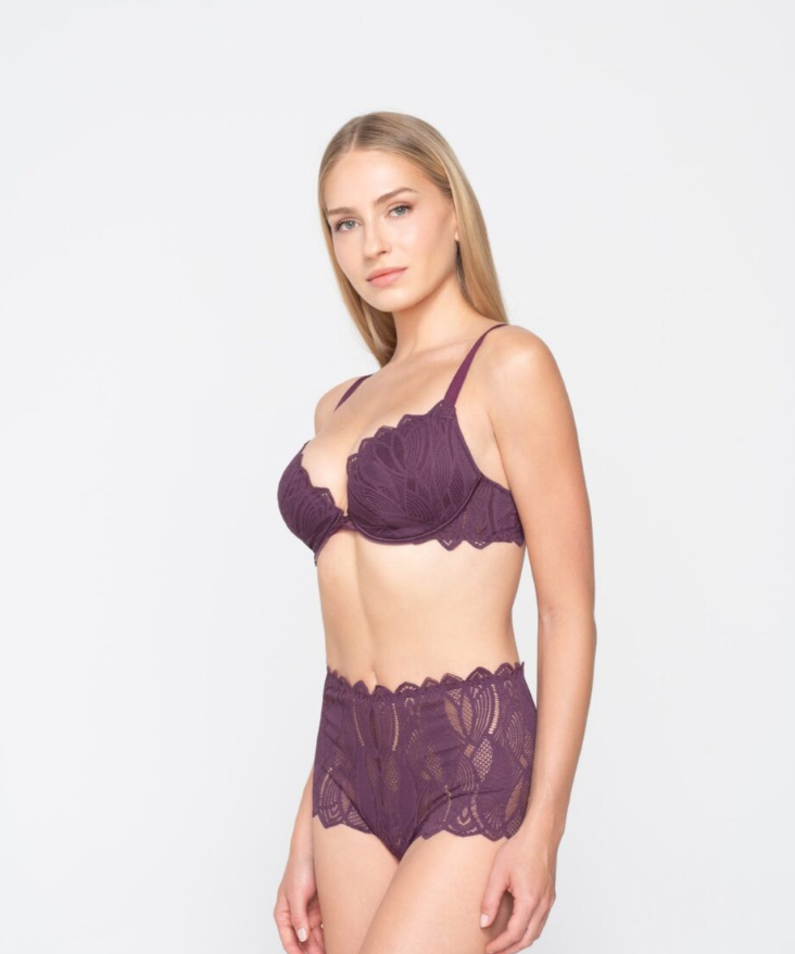 Sylvie Push-up Plunge Bra - E cup