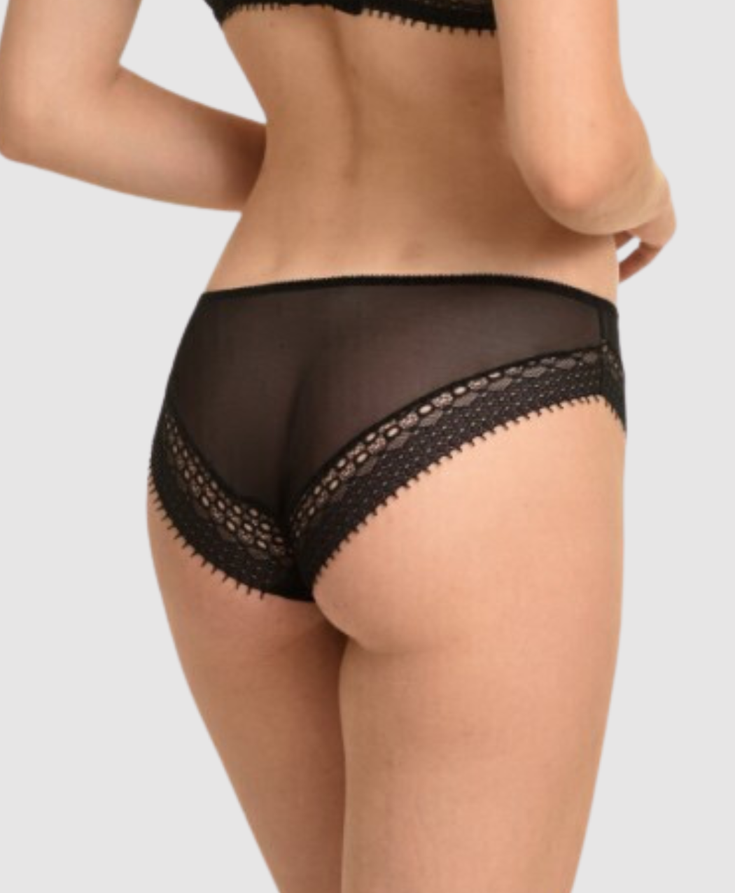 Lace Sheer Bikini Brief