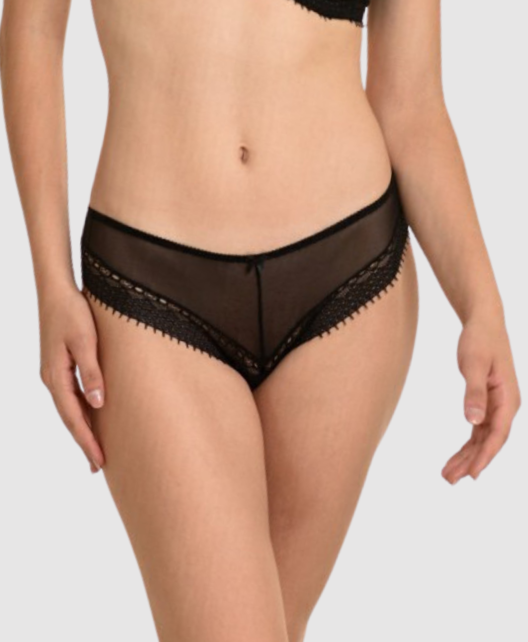 Lace Sheer Bikini Brief